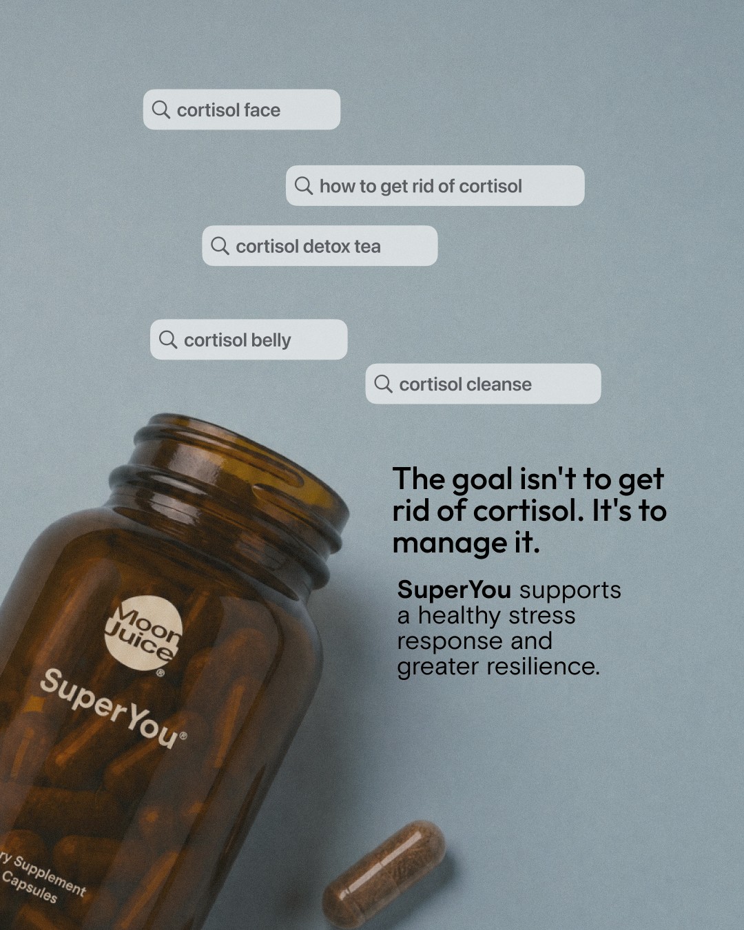 Moon Juice native search ad reference