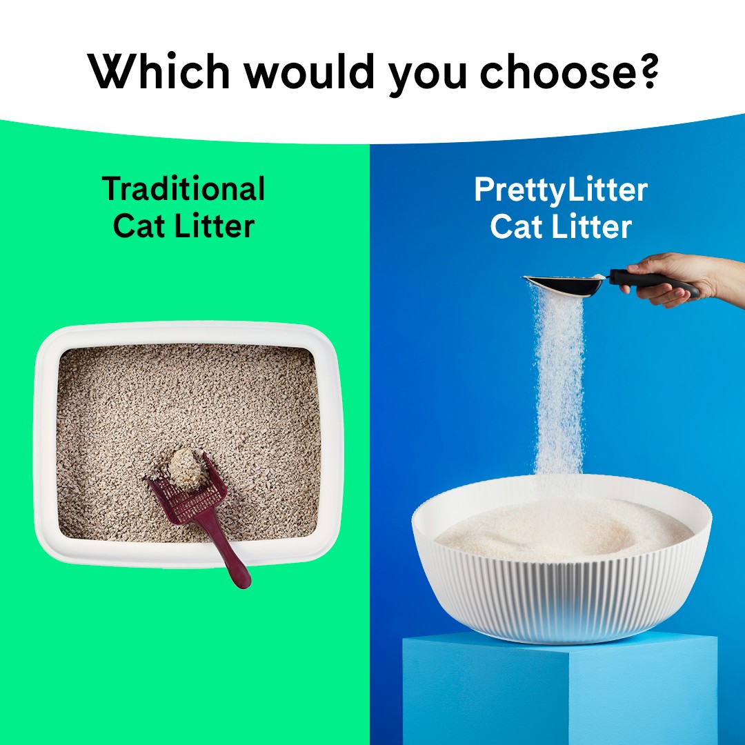 PrettyLitter static ad reference