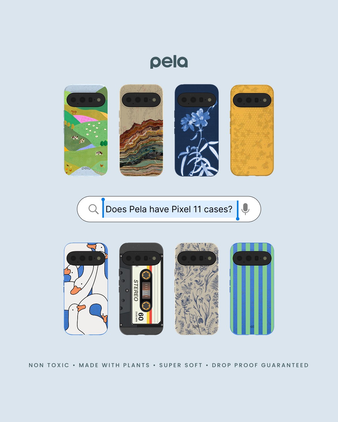 Pela Case static ad reference